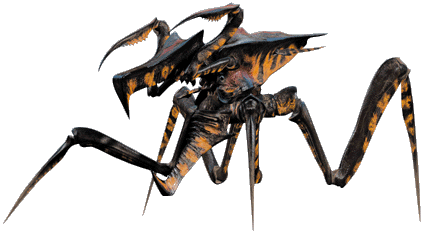starship troopers bug arachnid