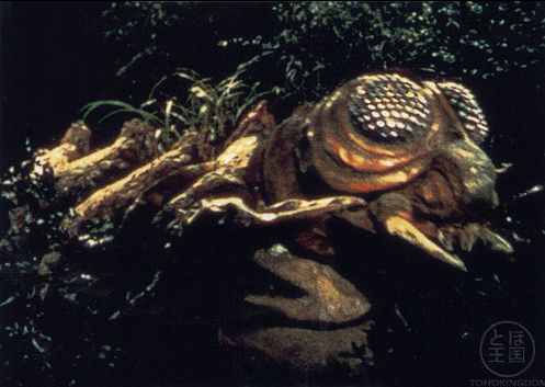 In all fairness, I don't think I would have guessed death by man-sized centipede-lobster either though.