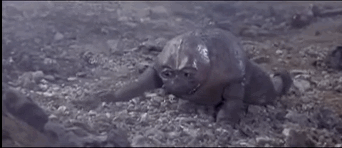 As portrayed by hangover diarrhea pressed into the shape of a frog.