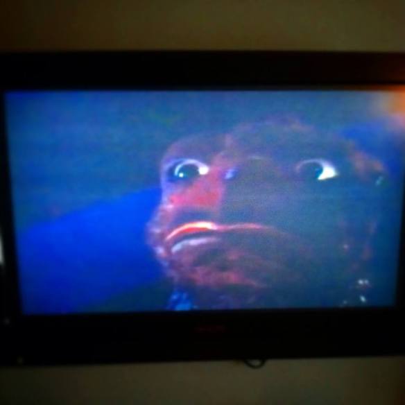 GAPPA! These dudes are triphibians. Try to top that frogs. 