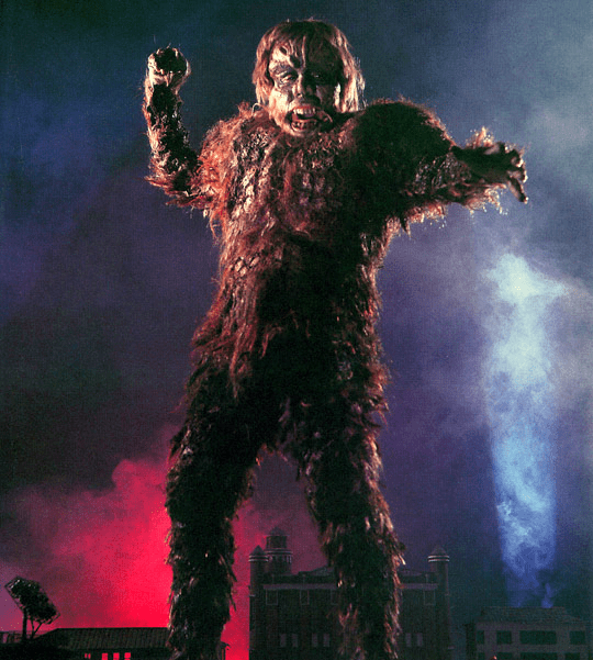 Sanda, you the real MVP.