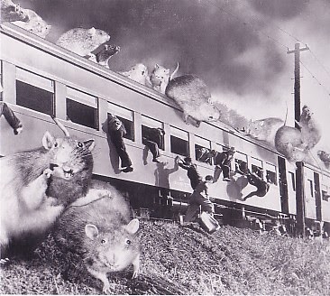 Basically they were worried a mundane version of the movie's plot would happen in their backyard.