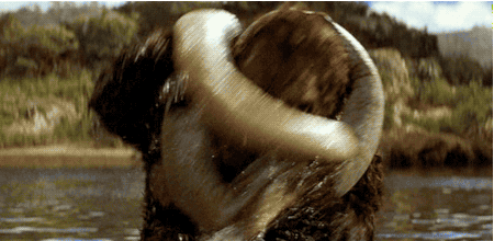 Fun fact, this shot was guest-directed by Ed Wood.