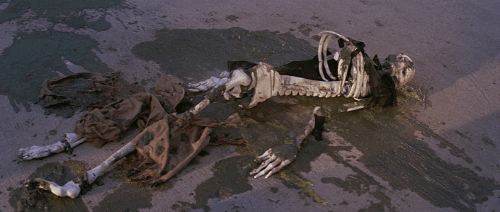 tumblr_nyu18veYDC1u8qr43o4_r1_500