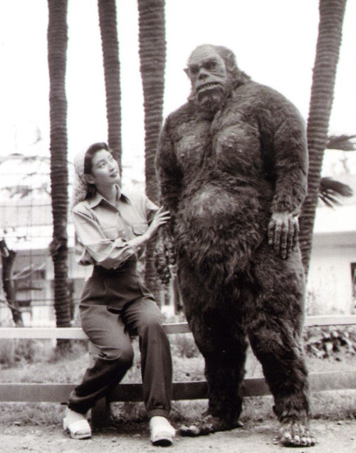 tumblr_nnywy5LC3a1qz5q5oo1_500