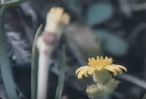 Screen Shot 2016-06-23 at 11.11.57 PM.png