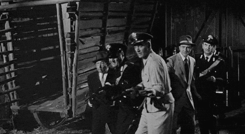 tumblr_n01hpxruo41qedb29o1_500