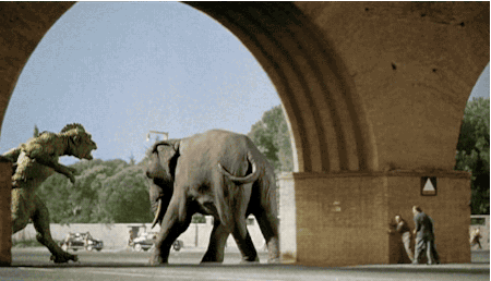 tumblr_n5ijl01cj31qaqx8xo2_500