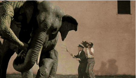 tumblr_n78fm3t3P11t8167uo4_500