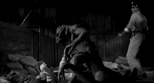 tumblr_ndsvapuRxm1s2wio8o1_500