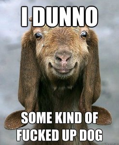 706e3ce09968bcf67afff0bcdb8b52dbc8b76d73506c83196d105252e3cca55e