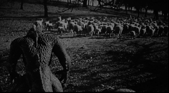 Screen Shot 2016-07-15 at 12.21.43 AM