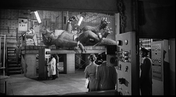 Screen Shot 2016-07-18 at 12.18.58 AM