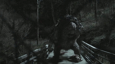 tumblr_mz3iv3yhdo1rl52wjo1_400