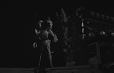 tumblr_o44fuqlimc1tsy6uyo1_400