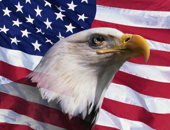 552923_bald-eagle-and-american-flag