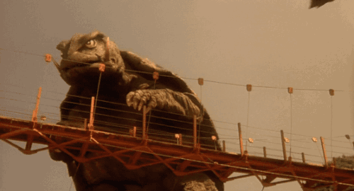 tumblr_nigfj3vndk1u8qr43o1_500