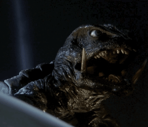 tumblr_nikxjmj9j81u8qr43o1_500