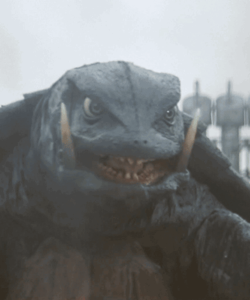 tumblr_njm2isvjub1u8qr43o1_500