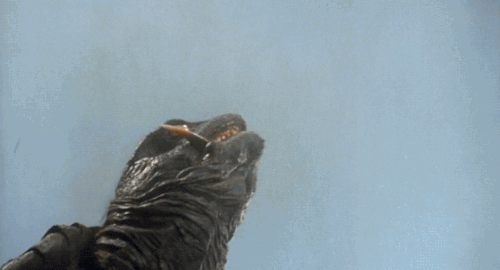 tumblr_nq3ba6ae821u8qr43o1_500