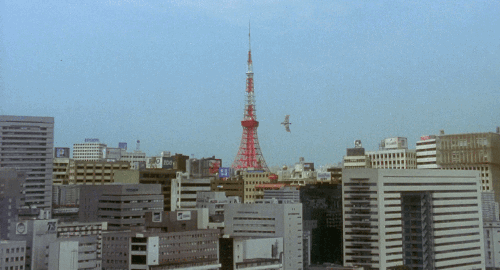 tumblr_ofbgz27vdb1u8qr43o3_500