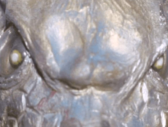 screen-shot-2017-02-16-at-9-43-12-pm