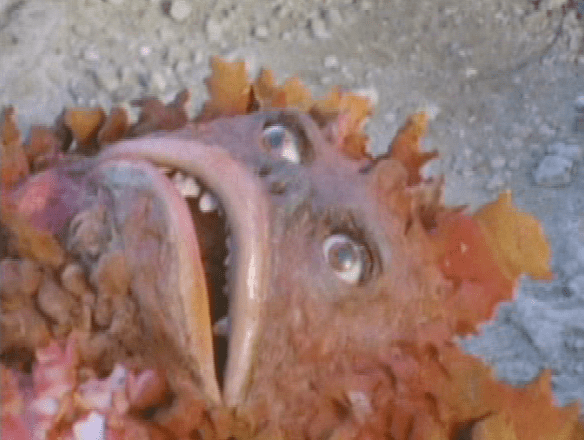 screen-shot-2017-02-16-at-9-44-28-pm