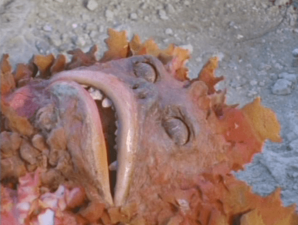 screen-shot-2017-02-16-at-9-45-10-pm