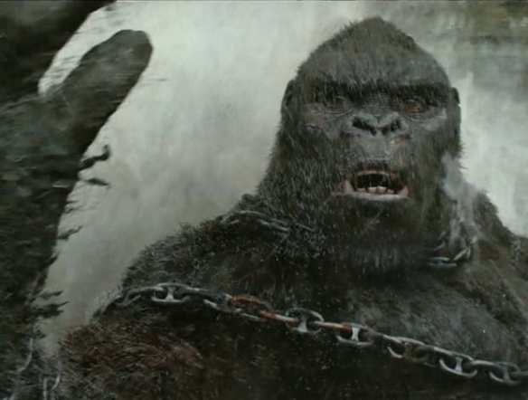 prtosnps1pq106kjsttl