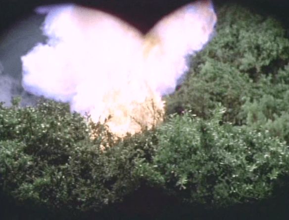 Screen Shot 2017-02-22 at 1.30.28 AM