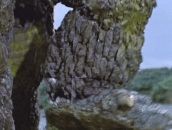 Screen Shot 2017-04-26 at 1.09.19 PM