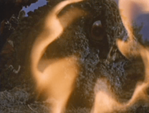 Screen Shot 2017-04-26 at 2.01.48 PM