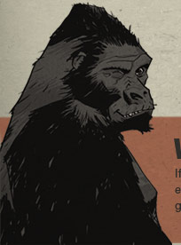 gorilla_wink
