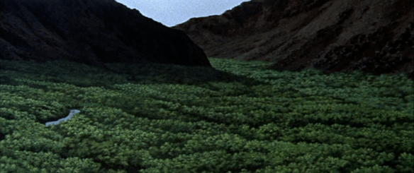 Screen Shot 2017-05-06 at 11.08.44 PM