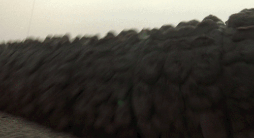 tumblr_nsf96wcZOU1u8qr43o4_500