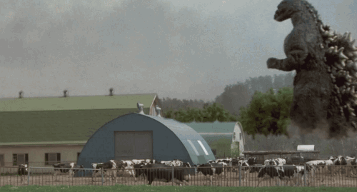 tumblr_o5bd1mWKgn1qaqx8xo1_500