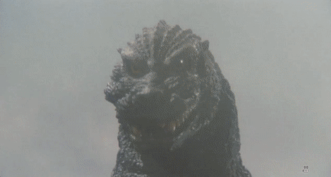 tumblr_okx0myVHyD1twzku7o8_500