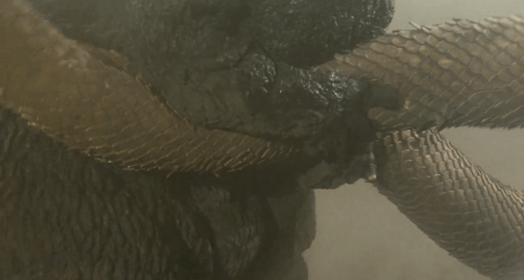 Screen Shot 2017-06-07 at 2.36.42 AM