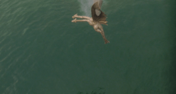 Screen Shot 2017-06-13 at 1.09.25 AM