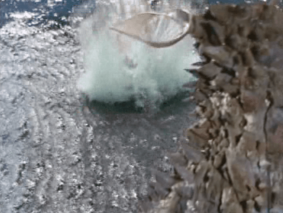 Screen Shot 2017-07-19 at 2.29.57 AM