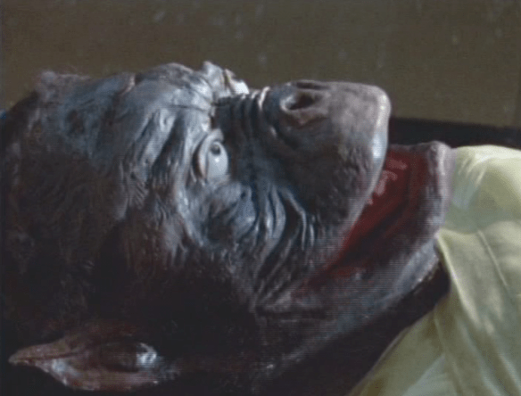 Screen Shot 2017-07-19 at 4.13.56 PM