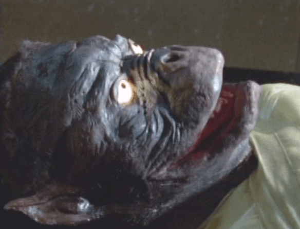 Screen Shot 2017-07-19 at 4.14.05 PM