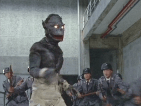 Screen Shot 2017-07-19 at 4.53.47 PM