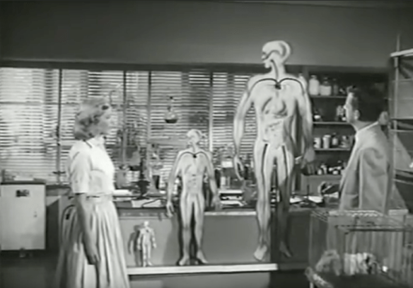 Screen Shot 2017-09-23 at 3.06.06 PM.png