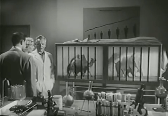 Screen Shot 2017-09-23 at 3.22.31 PM.png