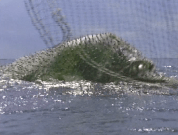 Screen Shot 2017-10-23 at 3.30.08 PM