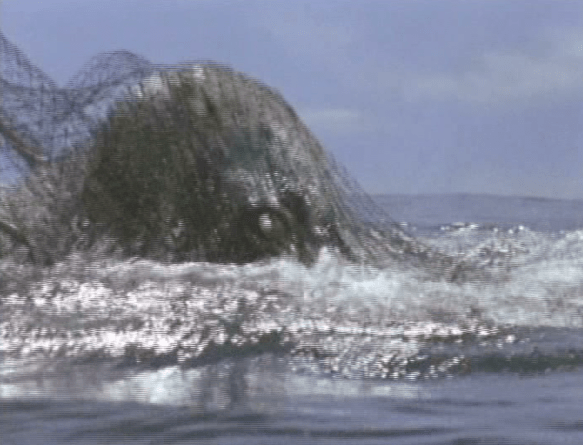 Screen Shot 2017-10-23 at 3.30.48 PM