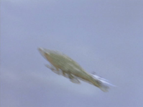 Screen Shot 2017-10-23 at 4.03.51 PM