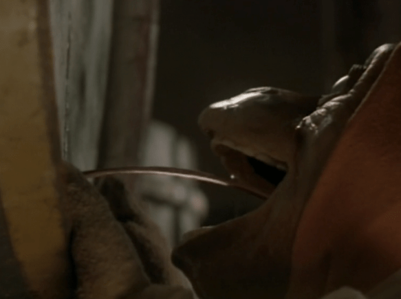 Screen Shot 2017-11-20 at 12.34.01 AM