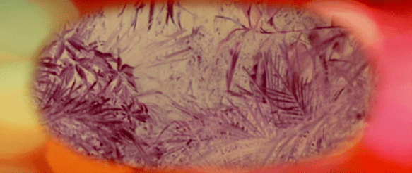 Screen Shot 2017-12-27 at 1.12.10 PM